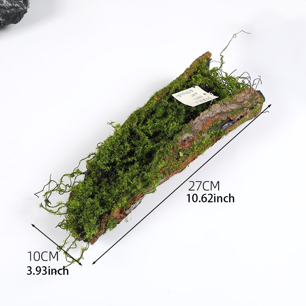 1 Imitation Bark Moss Planting - Sphagnum Moss Dry 评论和价格