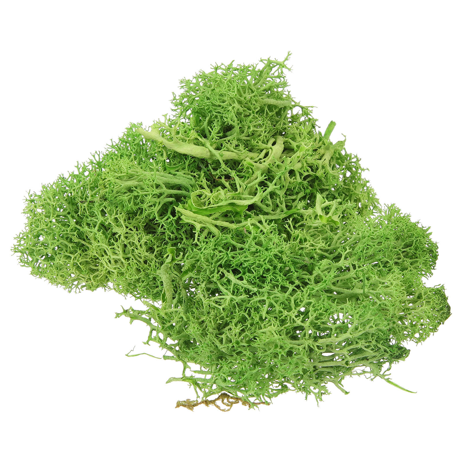 Brown Sphagnum Landscape Fake  - Sphagnum Moss Dry 评论和价格