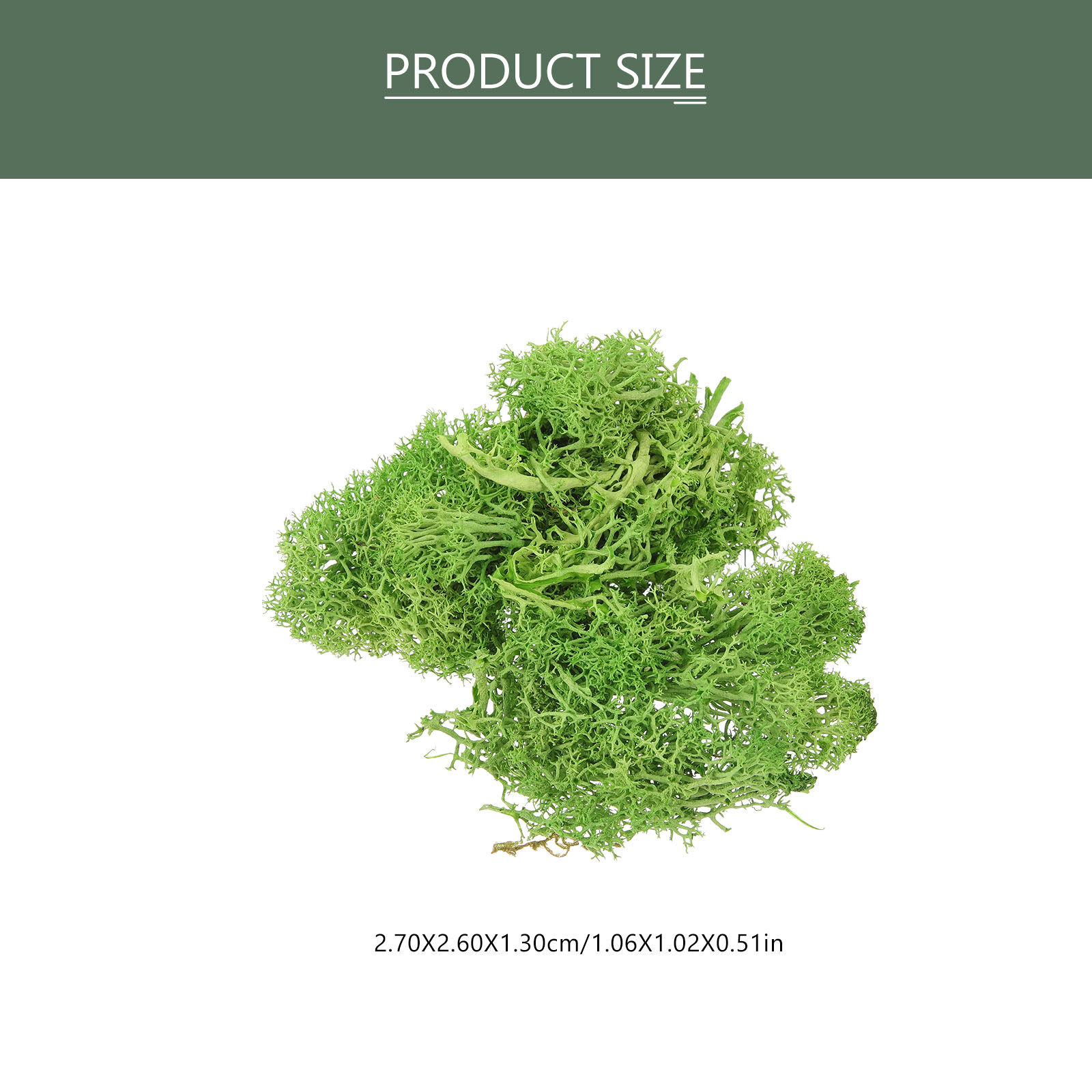 Brown Sphagnum Landscape Fake  - Sphagnum Moss Dry 评论和价格