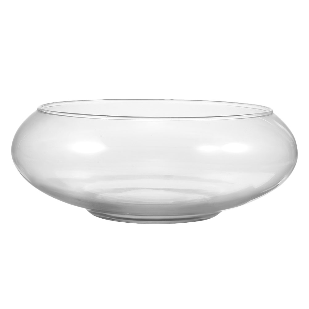 Wide Mouth Glass Vase Narcissu - Propagation Station Vase 评论和价格