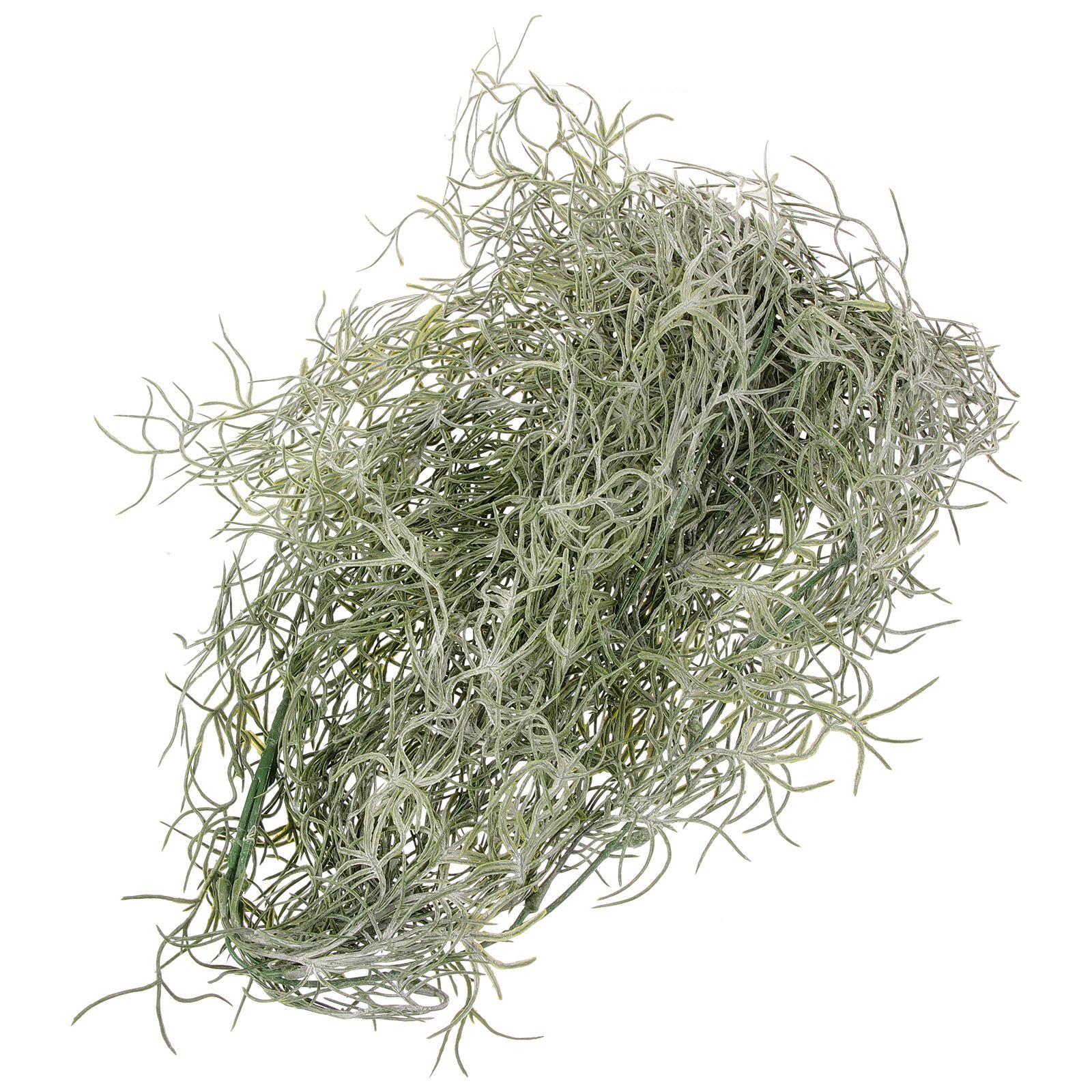 Deep Green Artificial Dried Fl - Sphagnum Moss Dry 评论和价格