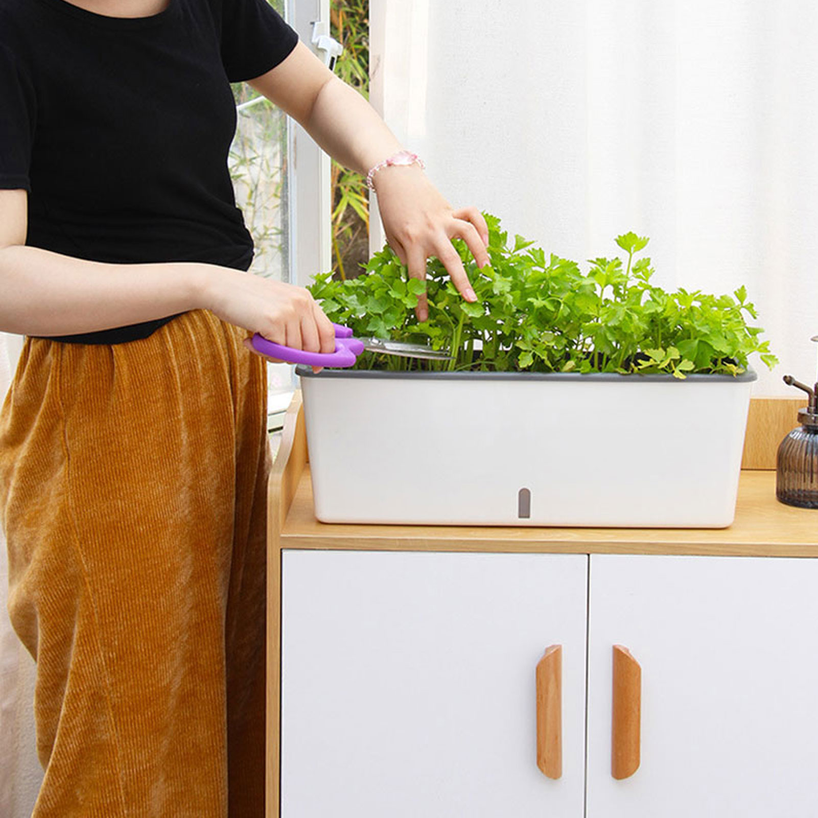 Self-Watering Planter Pots wit - Self Watering Insert 评论和价格