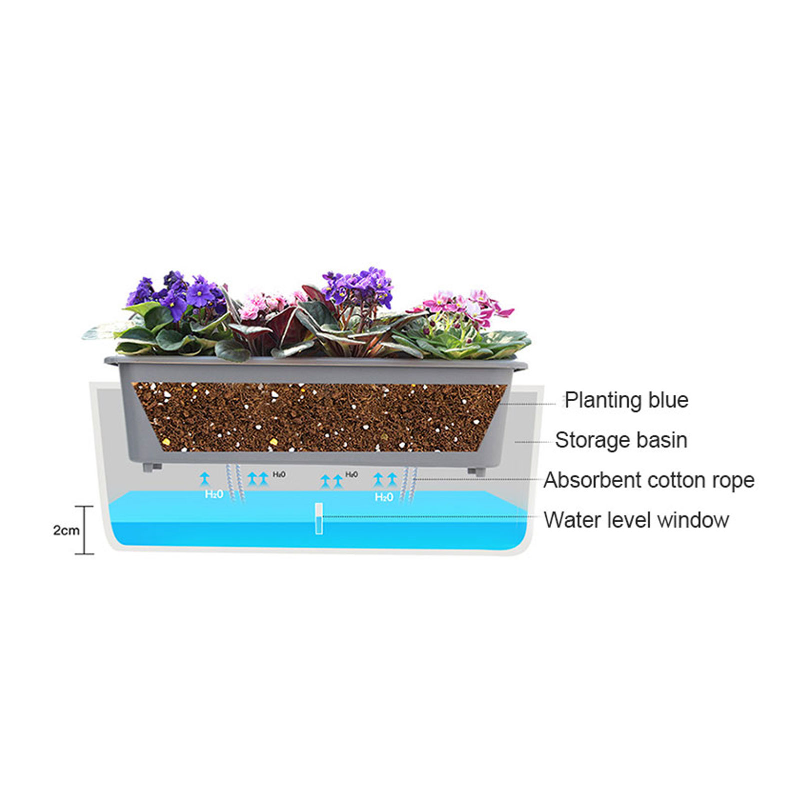Self-Watering Planter Pots wit - Self Watering Insert 评论和价格