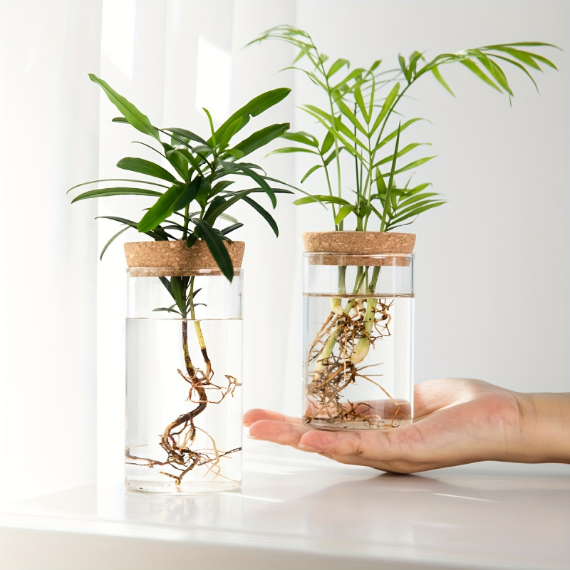 1pc, Hydroponics Plants Deskto - Propagation Station Vase 评论和价格