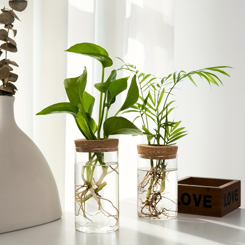 1pc, Hydroponics Plants Deskto - Propagation Station Vase 评论和价格