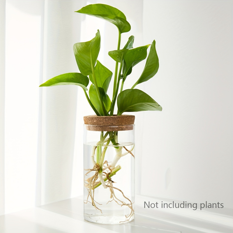 1pc, Hydroponics Plants Deskto - Propagation Station Vase 评论和价格