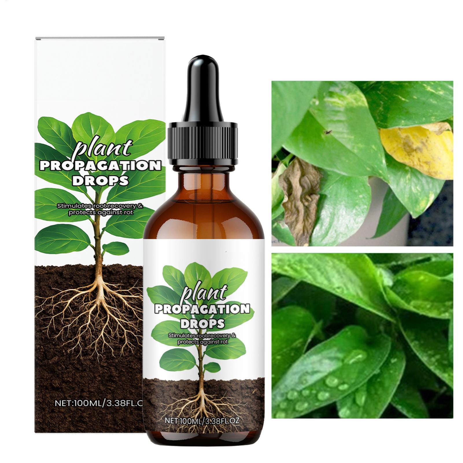 Root Booster 100ml Liquid Root - Root Stimulator Liquid 评论和价格