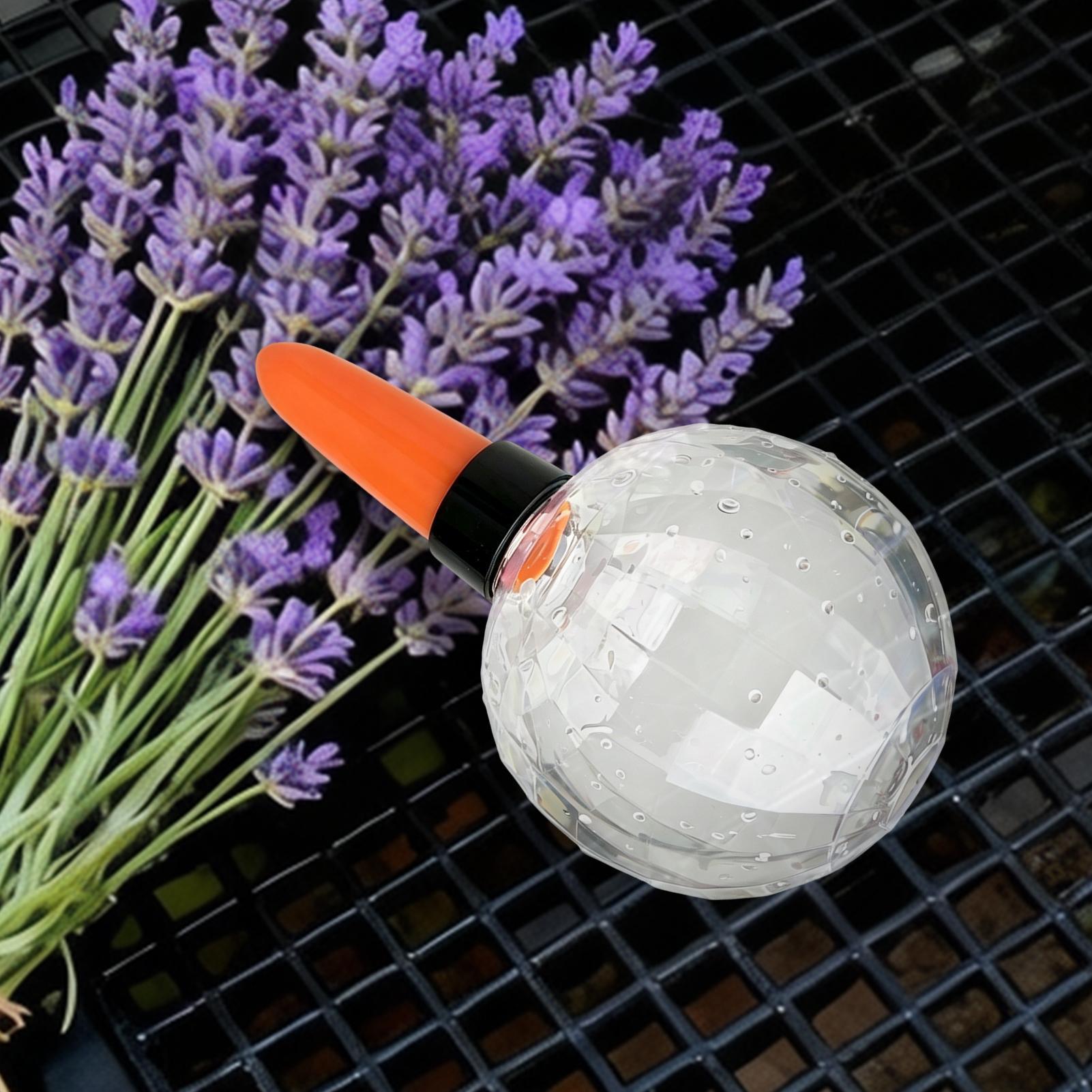 Self Watering Planter Insert 5 - Self Watering Insert 评论和价格