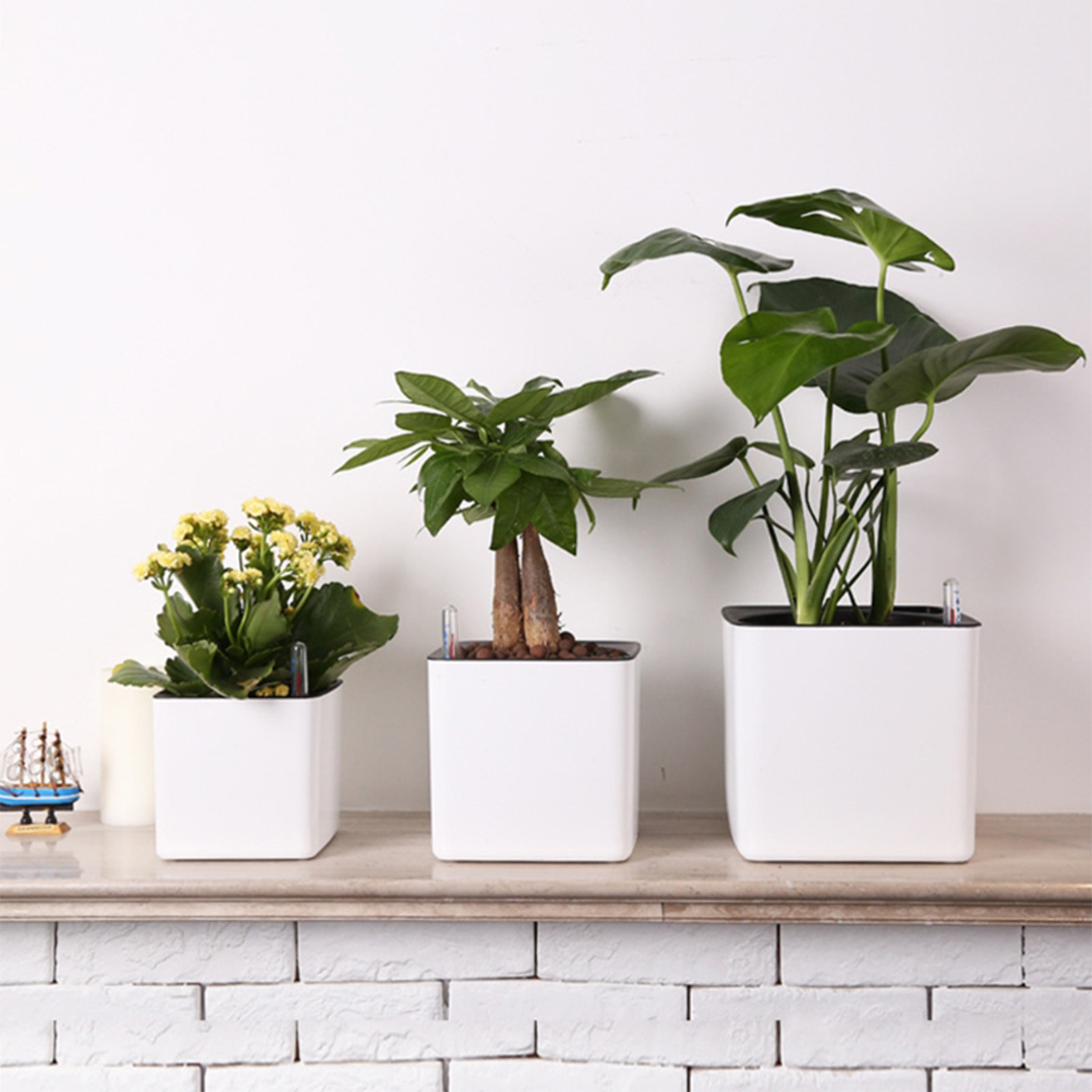 Automatic Self Watering Flower - Self Watering Insert 评论和价格