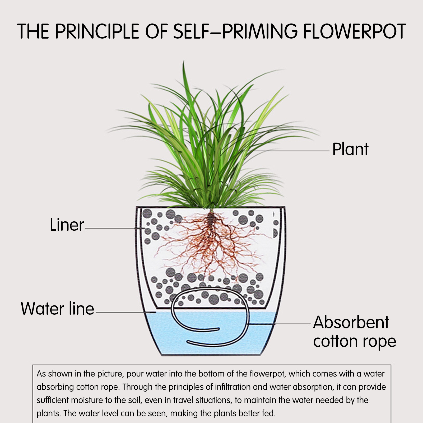 Automatic Self Watering Flower - Self Watering Insert 评论和价格