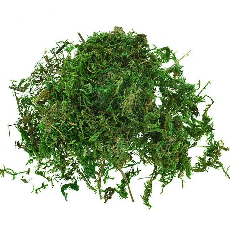 800G Dry Real Green Moss Decor - Sphagnum Moss Dry 评论和价格
