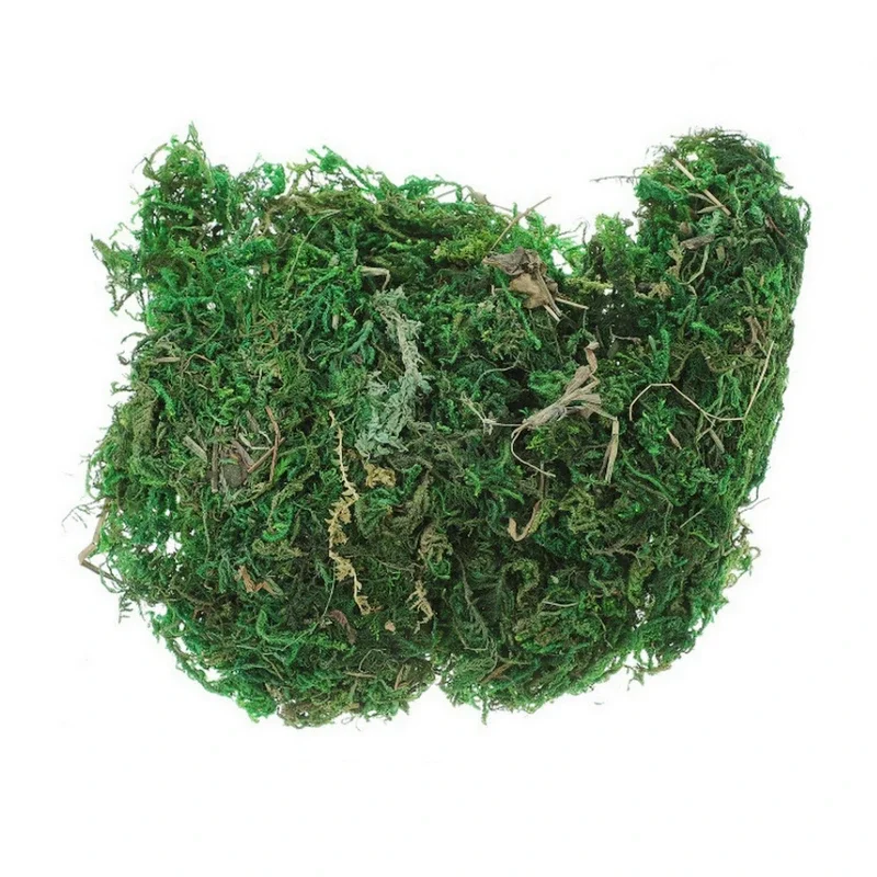 800G Dry Real Green Moss Decor - Sphagnum Moss Dry 评论和价格