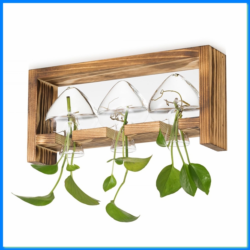 Glass Propagation Station for  - Propagation Station Vase 评论和价格