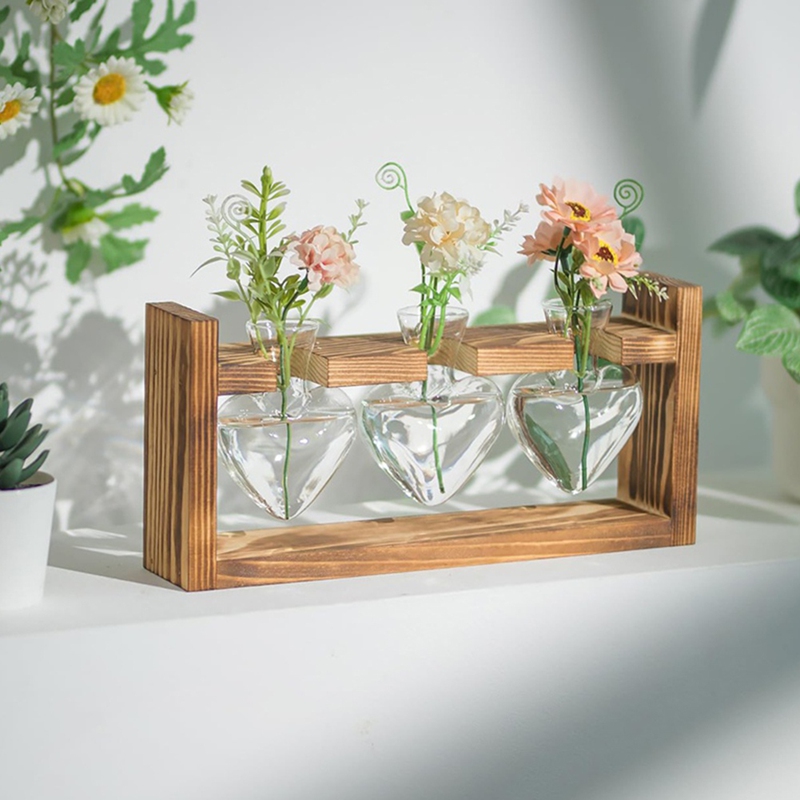 Glass Propagation Station for  - Propagation Station Vase 评论和价格
