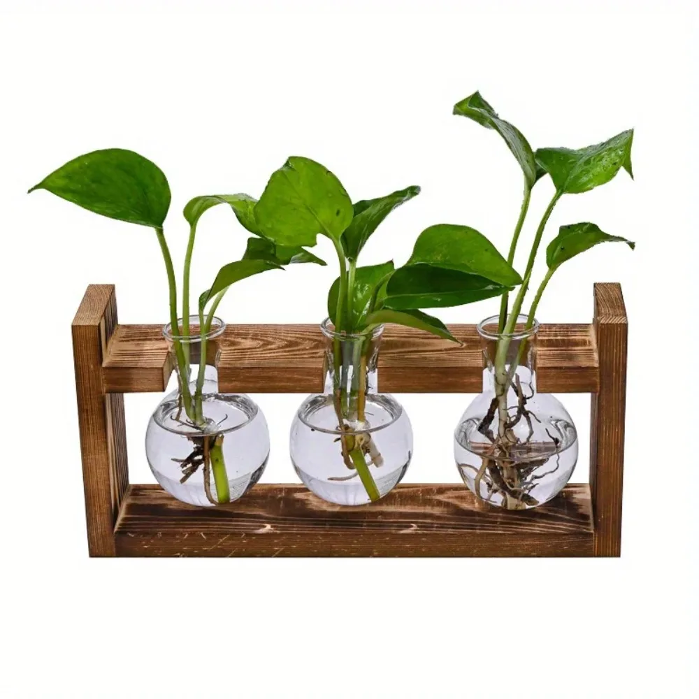 Tabletop Glass Planter Propaga - Propagation Station Vase 评论和价格