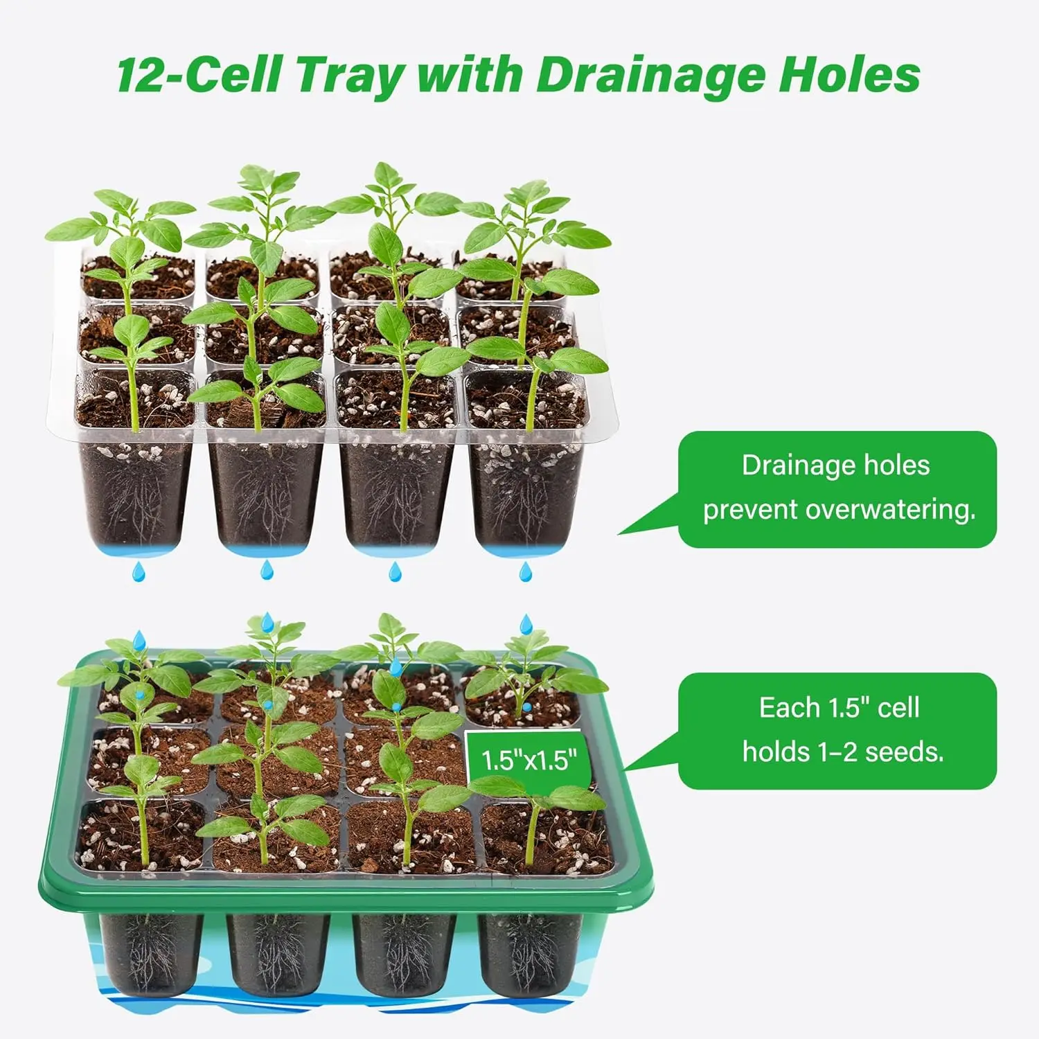 6/12 Grids Growing Starting Nu - Humidity Dome Kit 评论和价格