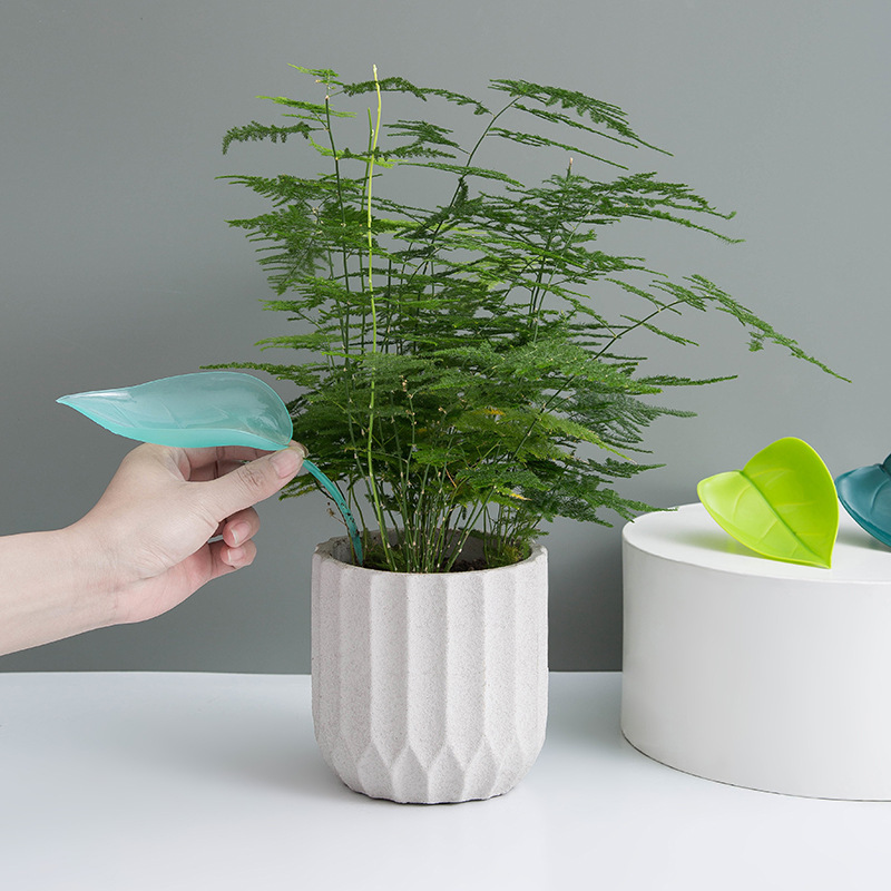 Creative Potted Foliage Divers - Self Watering Insert 评论和价格
