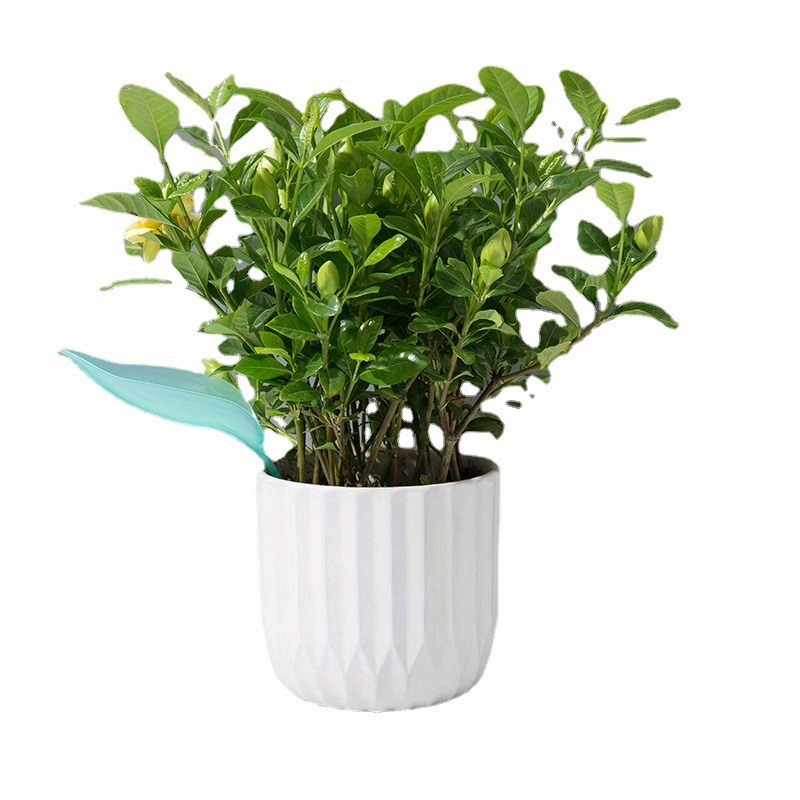 Creative Potted Foliage Divers - Self Watering Insert 评论和价格