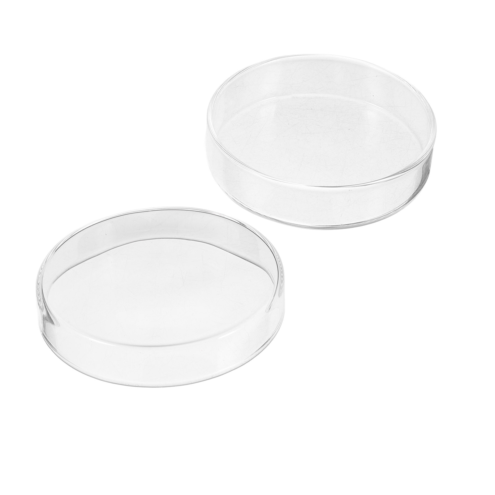 1Set Thickened Glass Petri Dis - Agar Tissue Culture 评论和价格