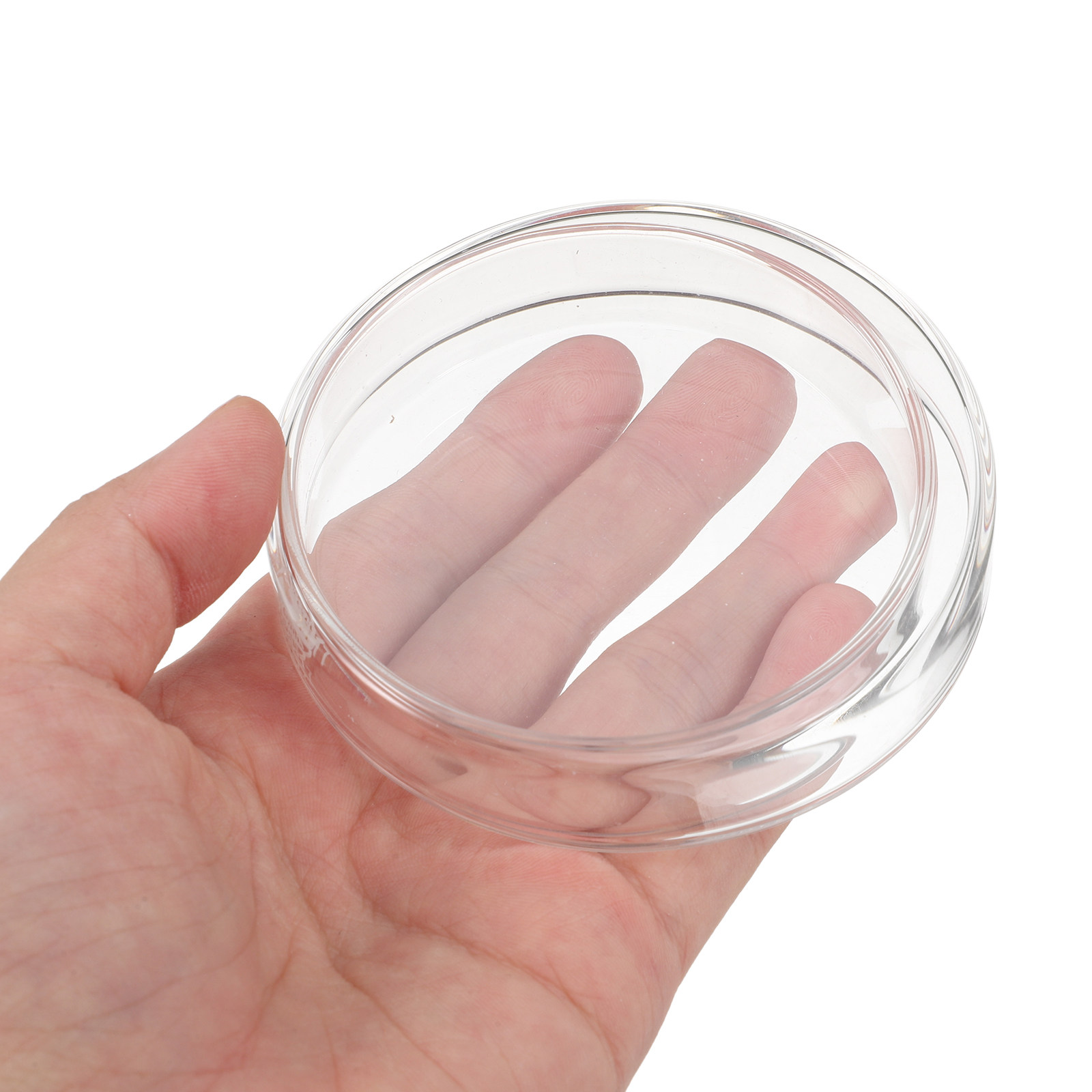1Set Thickened Glass Petri Dis - Agar Tissue Culture 评论和价格
