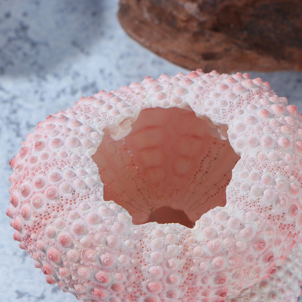 10Pcs DIY Jewelry Making Sea S - Propagation Station Vase 评论和价格