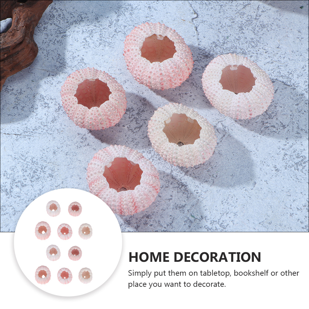 10Pcs DIY Jewelry Making Sea S - Propagation Station Vase 评论和价格