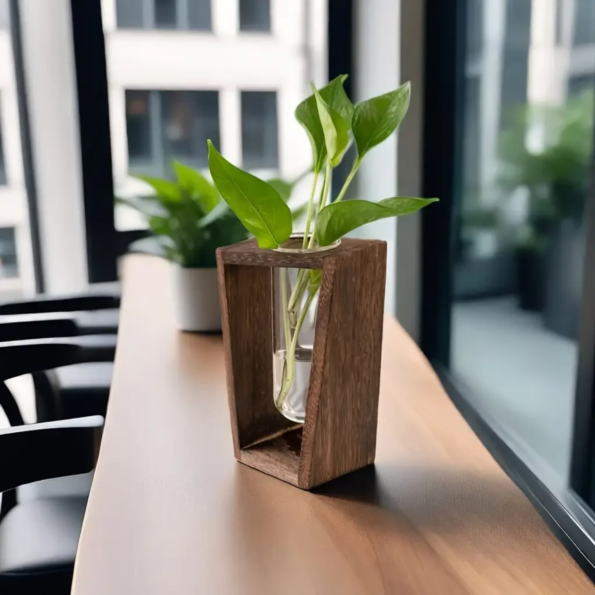 Plant Propagation Station Hydr - Propagation Station Vase 评论和价格