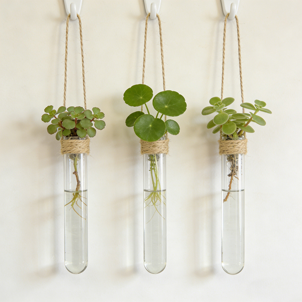 Hydroponic Flower Vase Wall-Mo - Propagation Station Vase 评论和价格