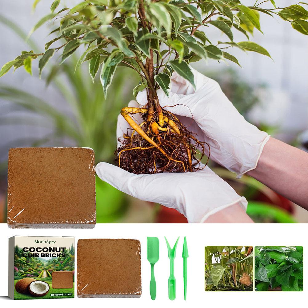 Coconut Coir Fiber Brick - Org - Sphagnum Moss Dry 评论和价格