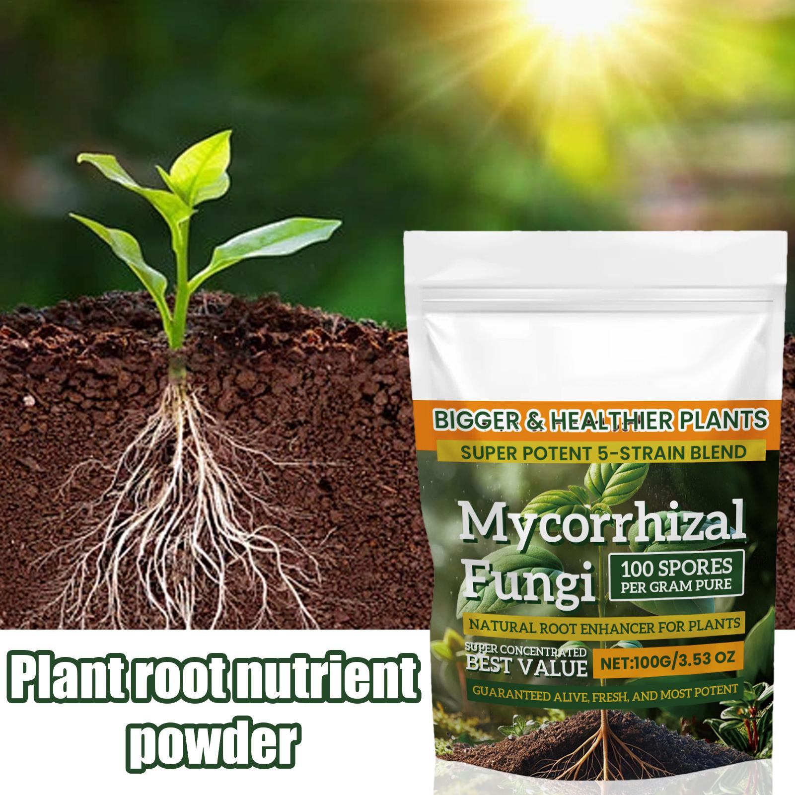 100g Plant Nutrient Powder Pla - Rooting Hormone Powder 评论和价格
