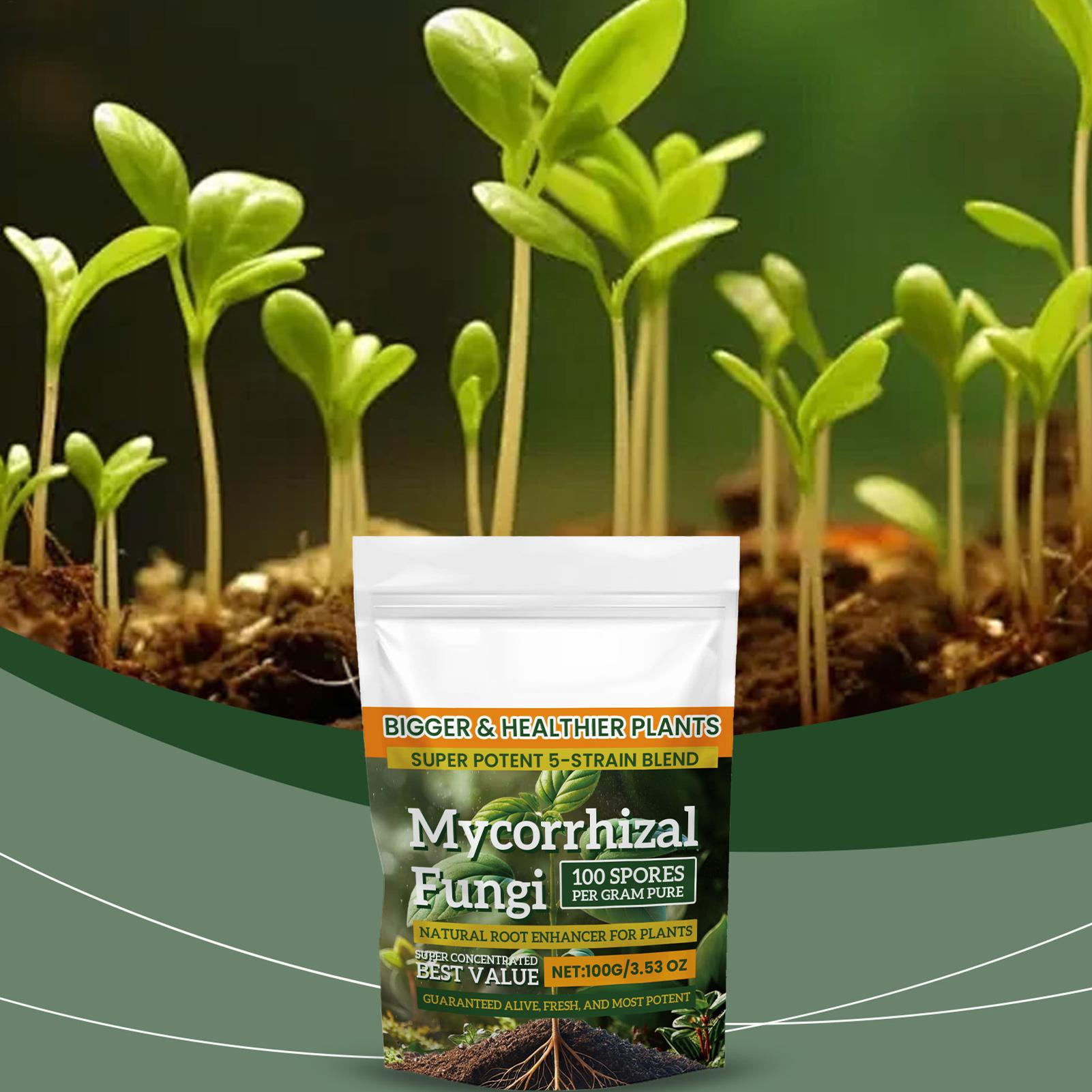 100g Plant Nutrient Powder Pla - Rooting Hormone Powder 评论和价格