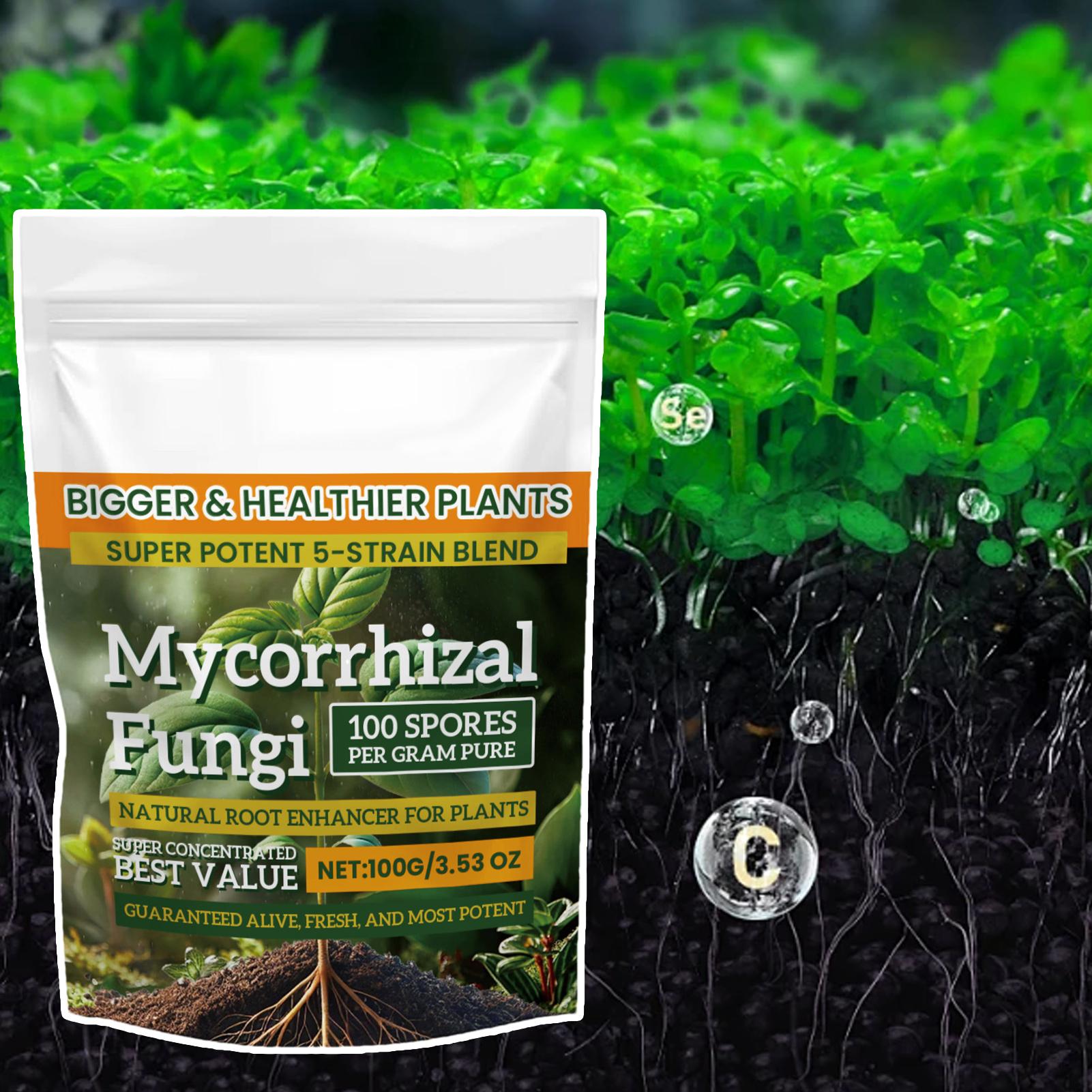 100g Plant Nutrient Powder Pla - Rooting Hormone Powder 评论和价格