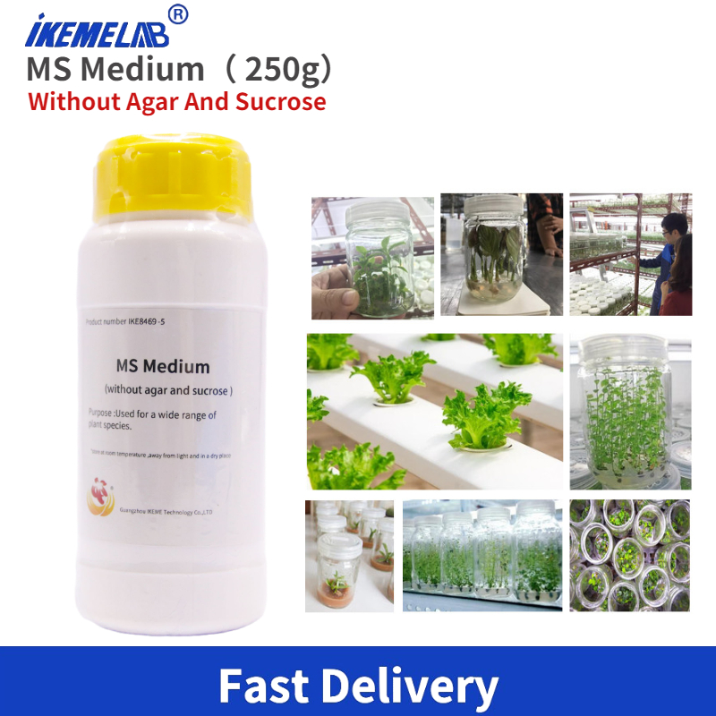 IKEME Lab MS Medium 250g Witho - Agar Tissue Culture 评论和价格