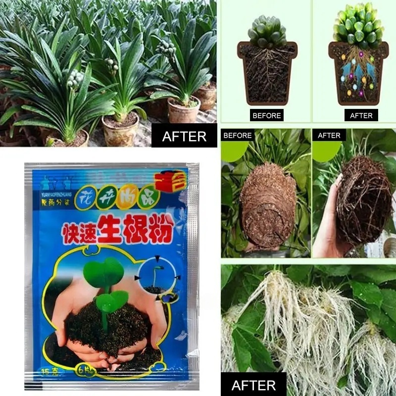 5pcs Fast Rooting Powder Plant - Rooting Hormone Powder 评论和价格