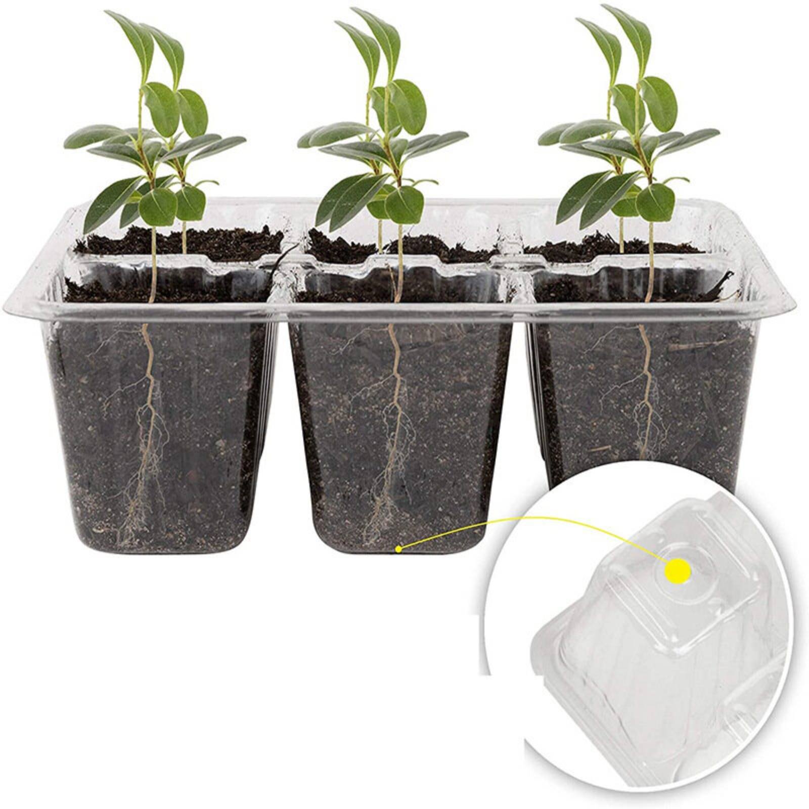 12 Compartment Germination Tra - Humidity Dome Kit 评论和价格