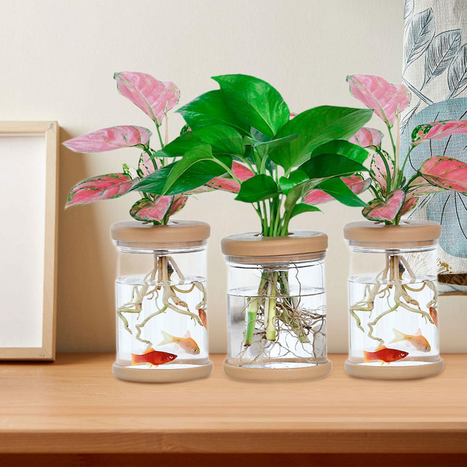 3Pcs Hydroponics Flower Vases  - Propagation Station Vase 评论和价格