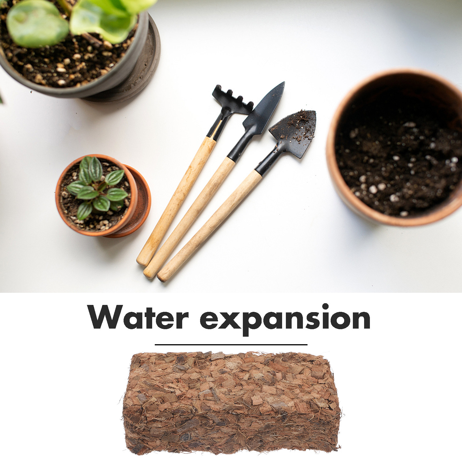 Sphagnum Coconut Shell Fertili - Sphagnum Moss Dry 评论和价格