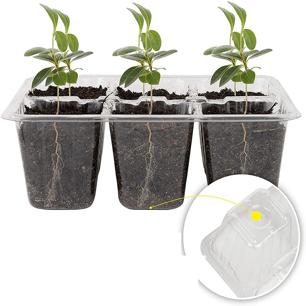 Seed Starter Trays with Grow L - Humidity Dome Kit 评论和价格