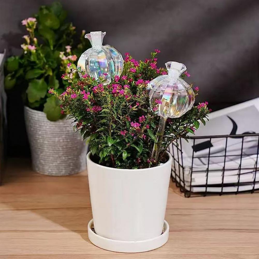 24cm Cactus Self Watering Bulb - Self Watering Insert 评论和价格