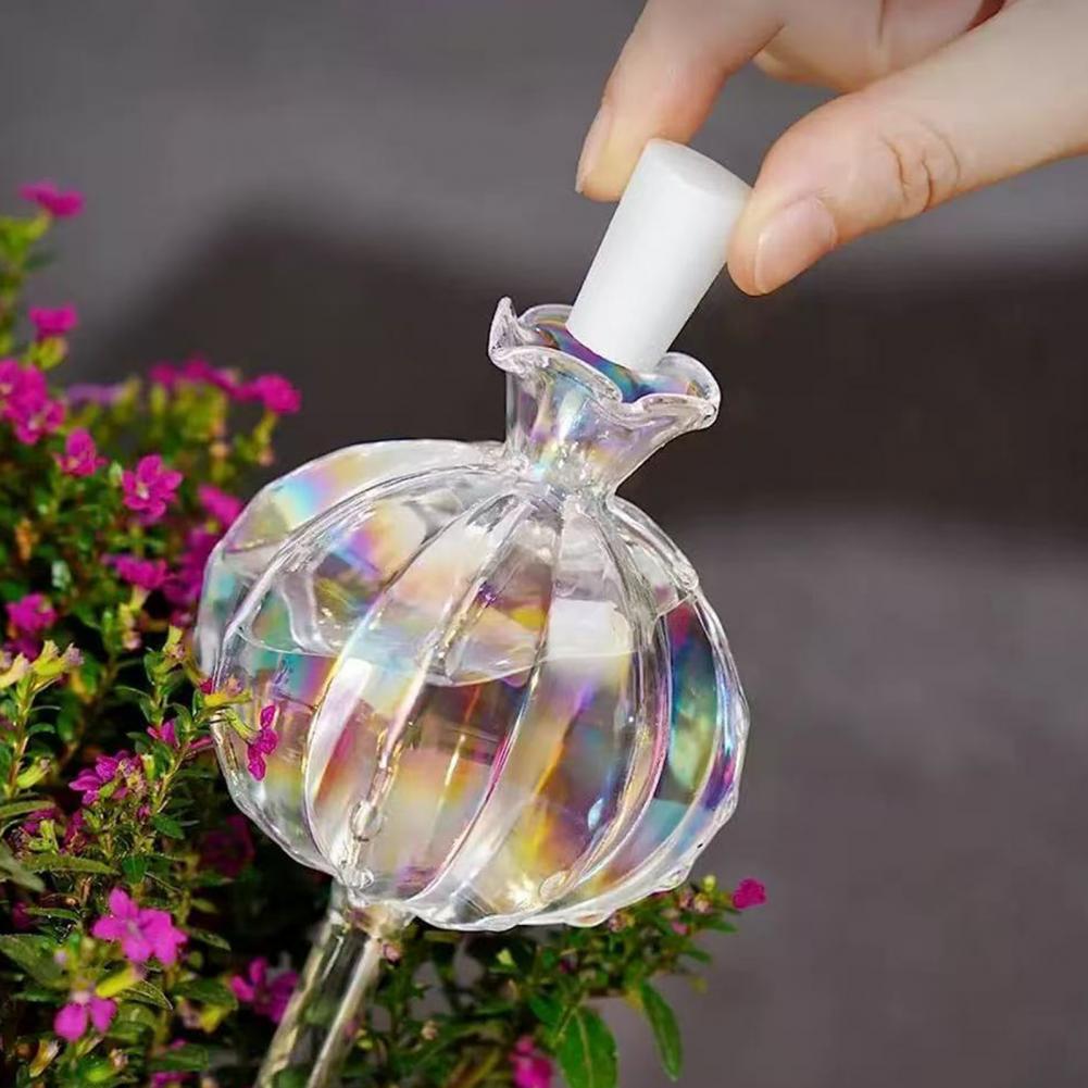 24cm Cactus Self Watering Bulb - Self Watering Insert 评论和价格