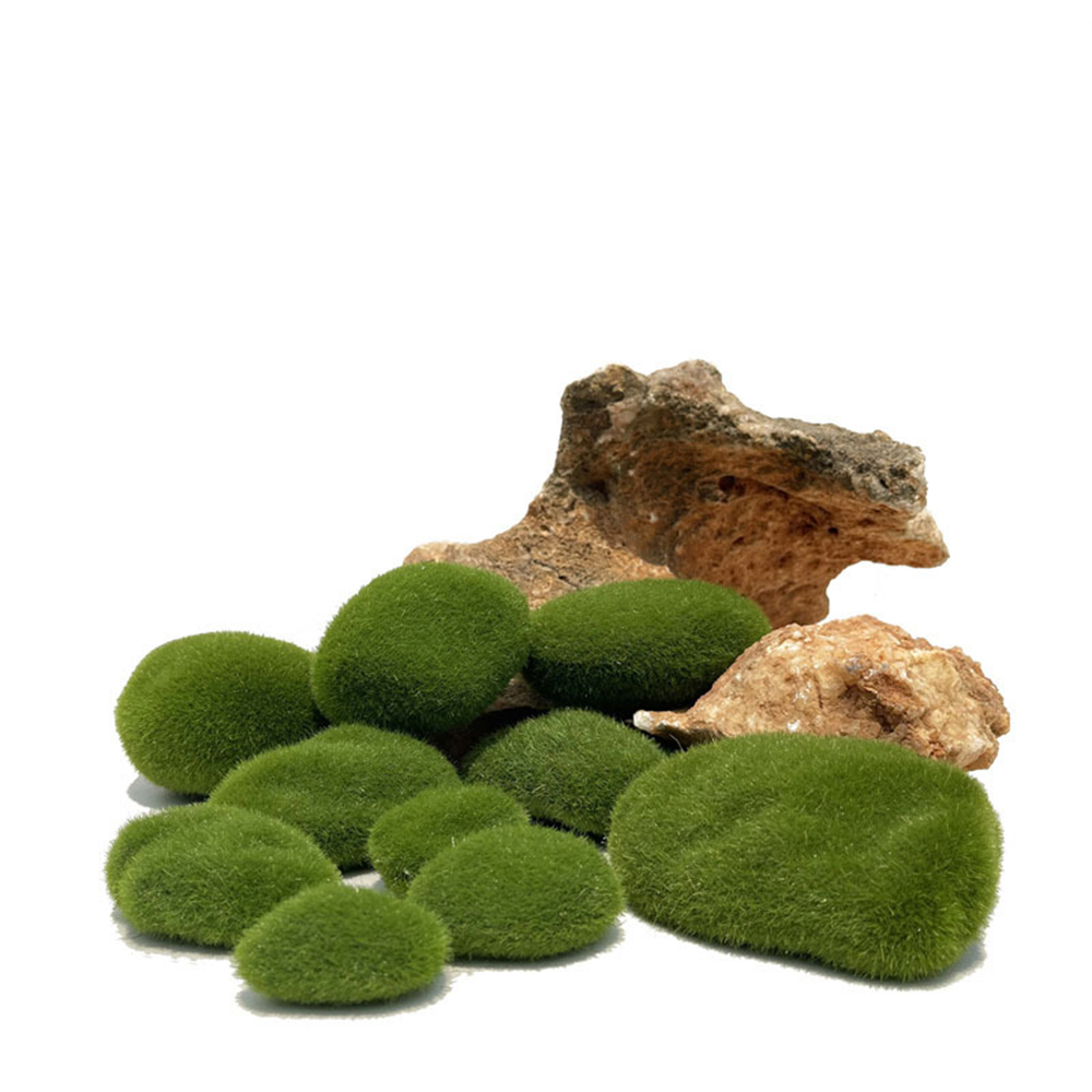 Artificial Fake Moss Rock Eter - Sphagnum Moss Dry 评论和价格