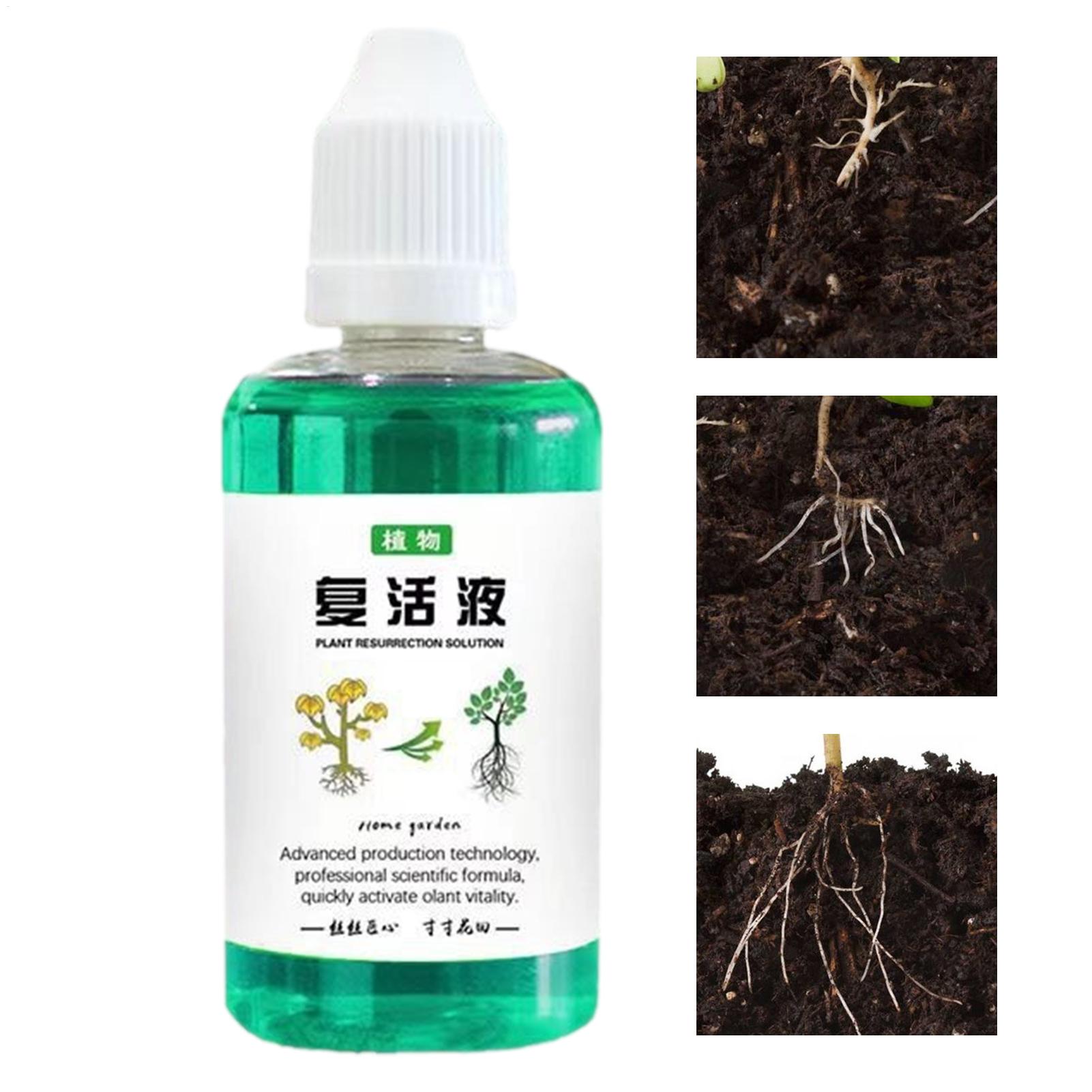 Root Stimulator For Plants 50m - Root Stimulator Liquid 评论和价格