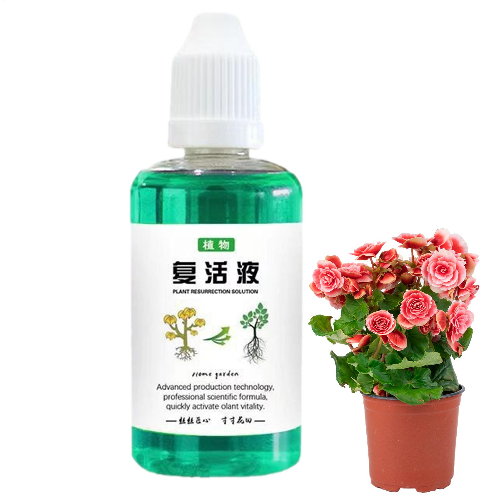 Root Stimulator For Plants 50m - Root Stimulator Liquid 评论和价格