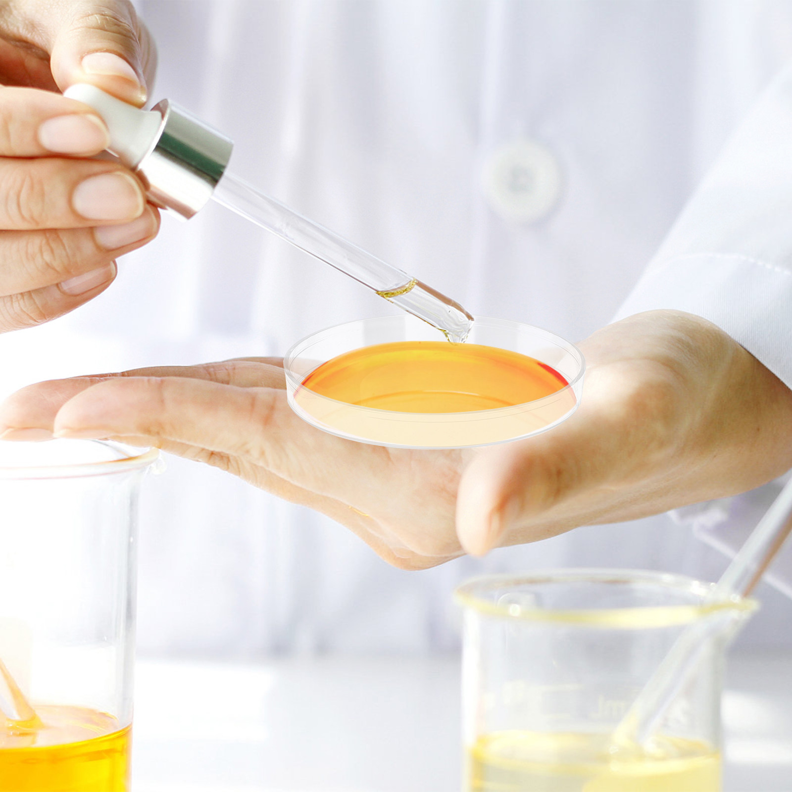 30Pcs Petri Dish Clear Plastic - Agar Tissue Culture 评论和价格