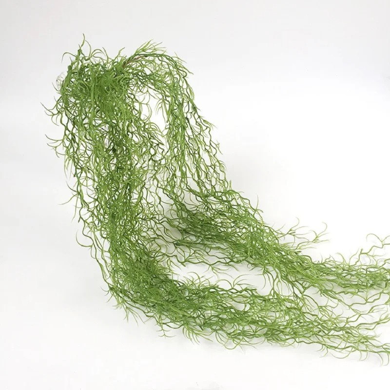 1/3/5pcs Air Grass Green Plant - Sphagnum Moss Dry 评论和价格