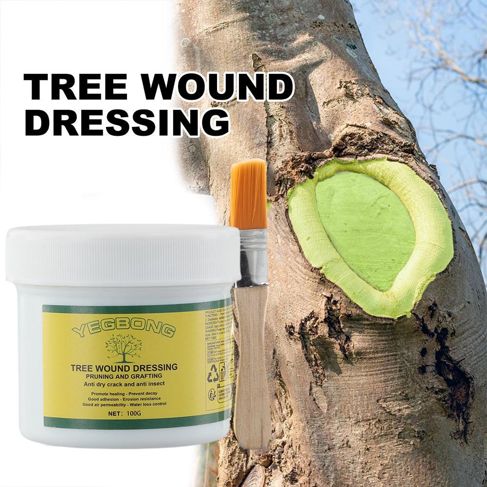 100g Tree Grafting Paste Tree  - Rooting Hormone Powder 评论和价格