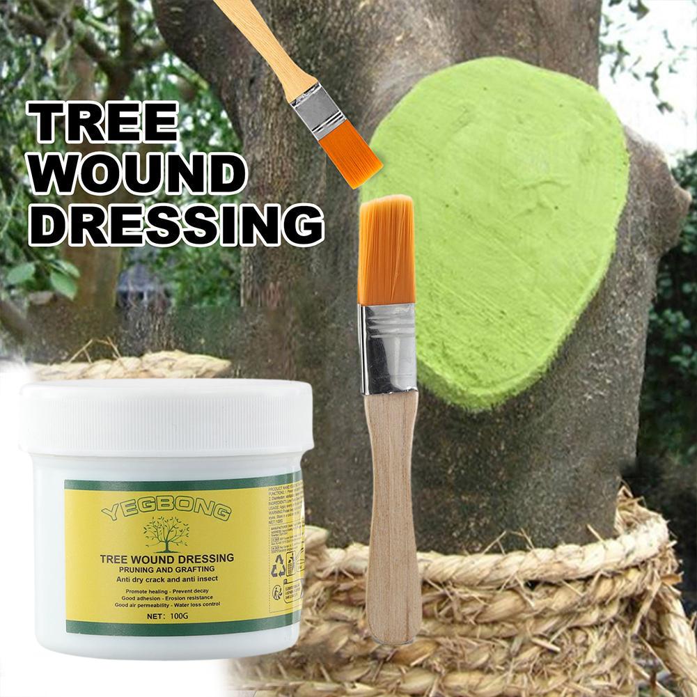 100g Tree Grafting Paste Tree  - Rooting Hormone Powder 评论和价格