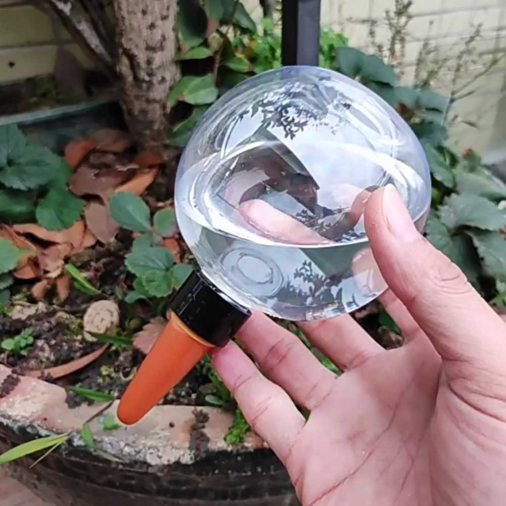 500ML Self Watering Globes Dri - Self Watering Insert 评论和价格