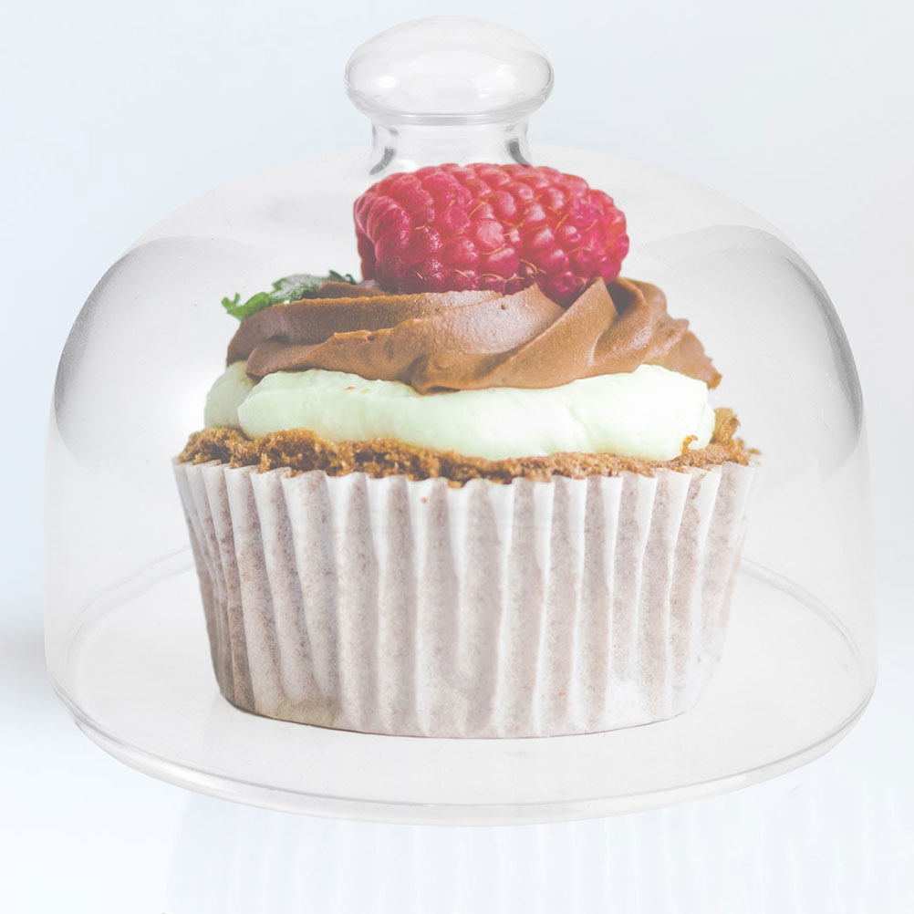 2Pcs Transparent Glass Cake Do - Plastic Dome Clear 评论和价格