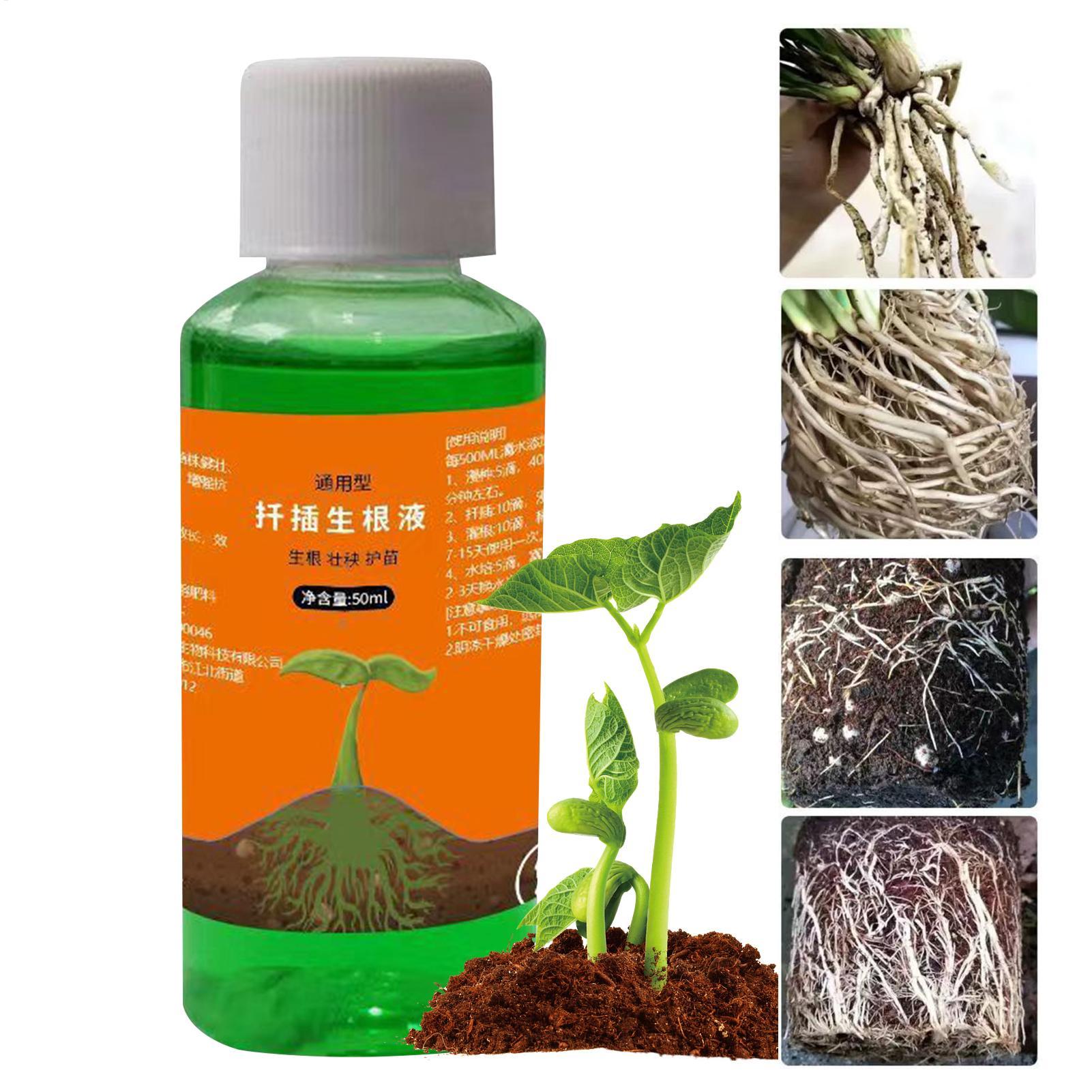High-Efficiency Root Stimulato - Root Stimulator Liquid 评论和价格